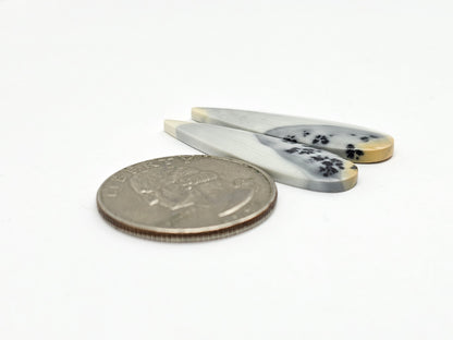 Maligano Jasper Cabochon Pair