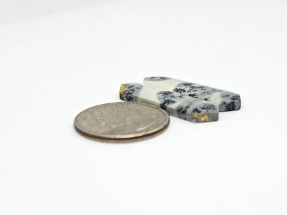 Maligano Jasper Cabochon Pair