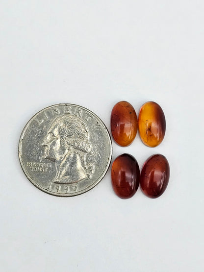 Amber authentic cabochon pair lot