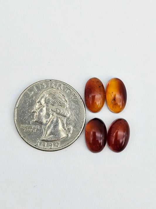Amber authentic cabochon pair lot