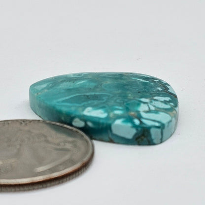 Cloud Mountain Turquoise Cabochon Large
