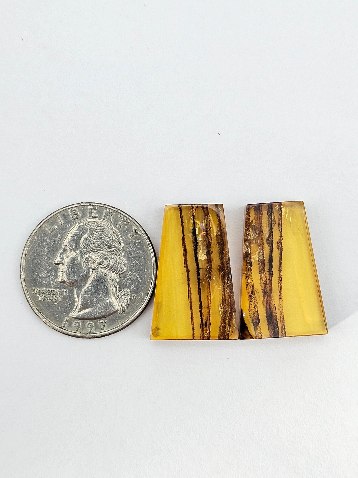 Amber authentic cabochon pair large