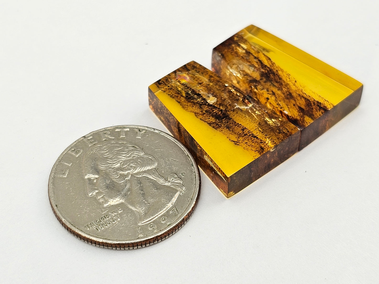 Amber authentic cabochon pair large