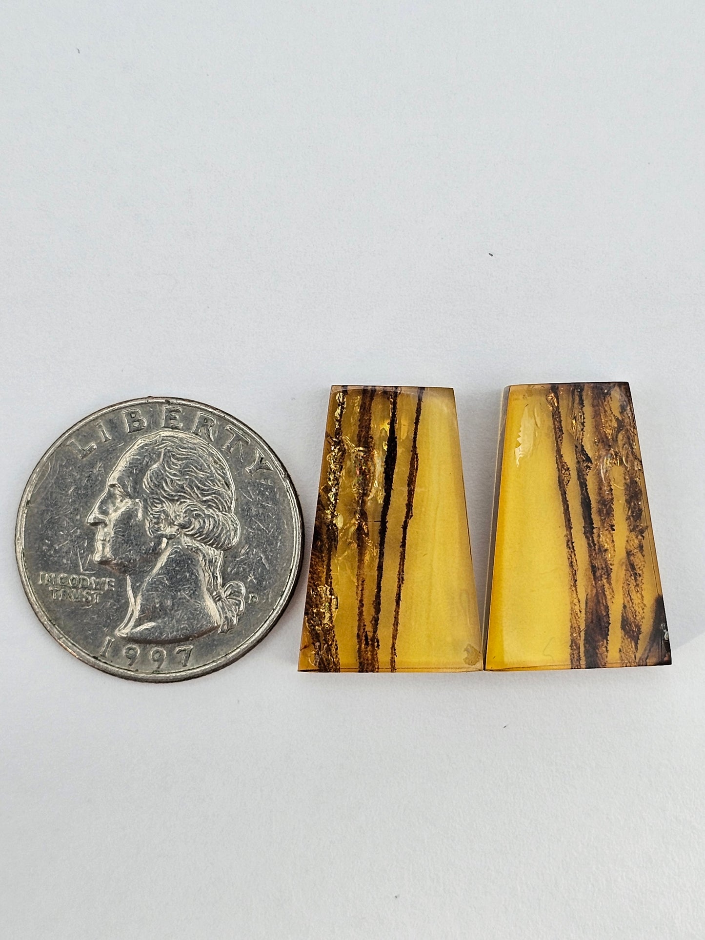 Amber authentic cabochon pair large