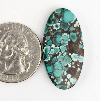 Cloud Mountain Turquoise Cabochon Large