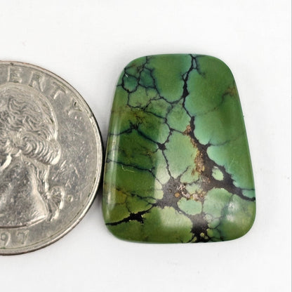Cloud Mountain Turquoise Cabochon Large