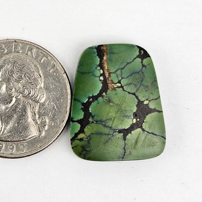 Cloud Mountain Turquoise Cabochon Large