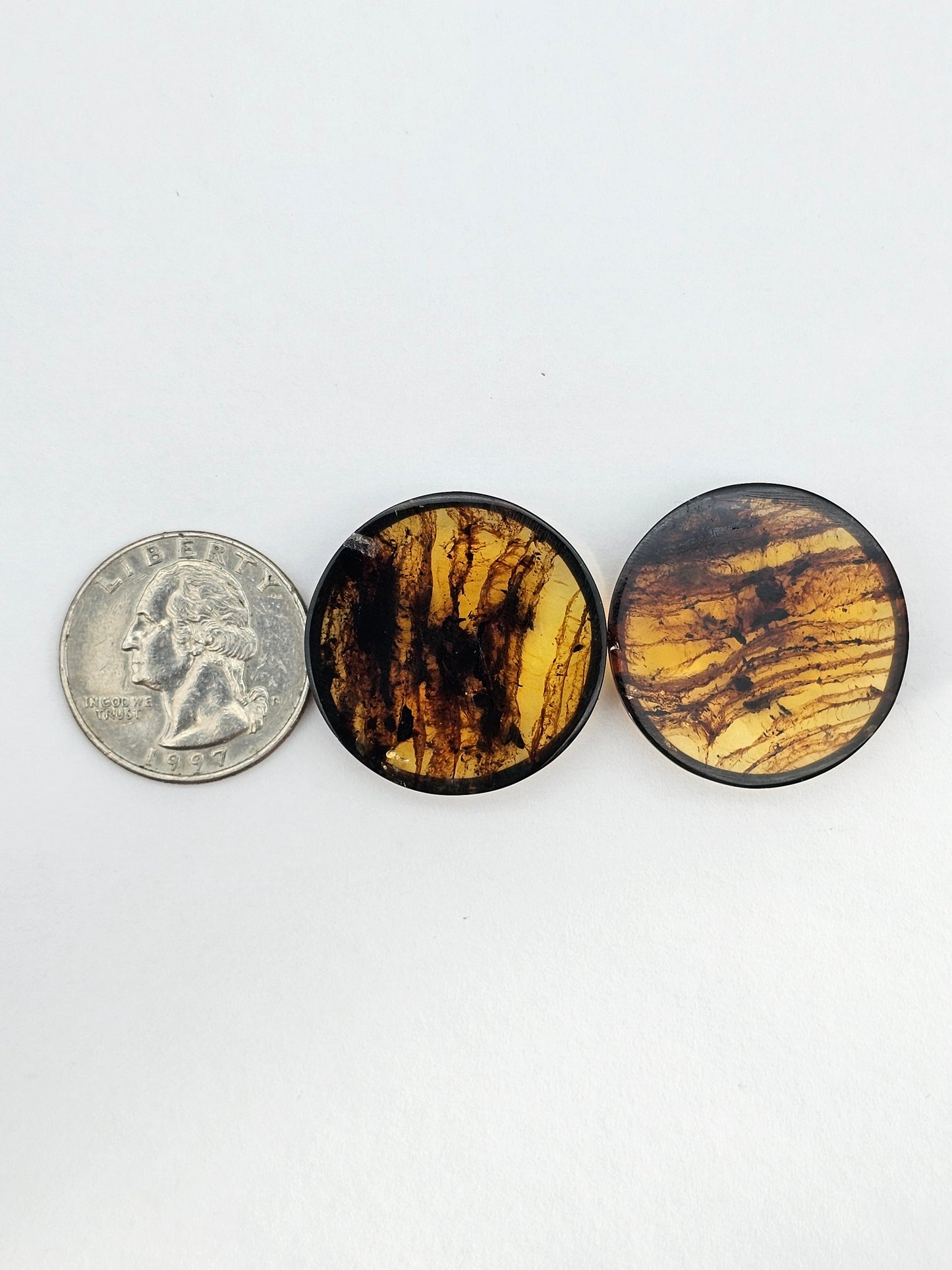 Amber authentic cabochon pair large