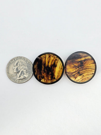 Amber authentic cabochon pair large