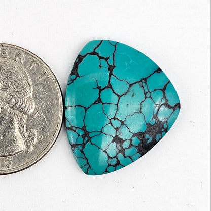Cloud Mountain Turquoise Cabochon Large
