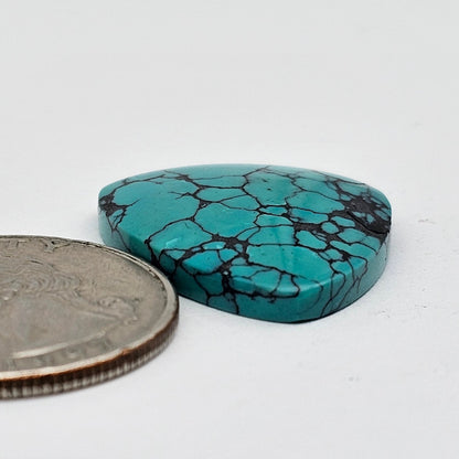 Cloud Mountain Turquoise Cabochon Large