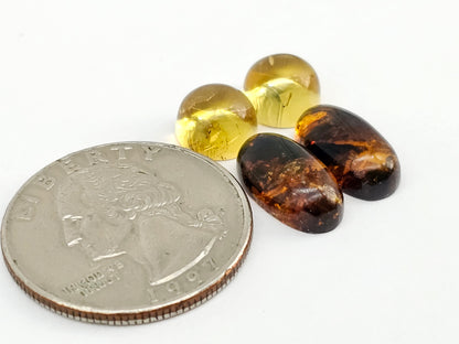 Amber authentic cabochon pair lot