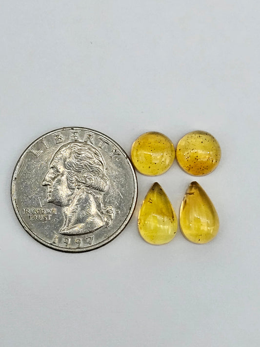 Amber authentic cabochon pair lot