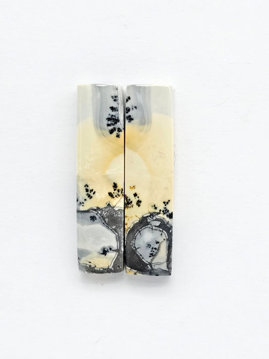 Maligano Jasper Cabochon Pair