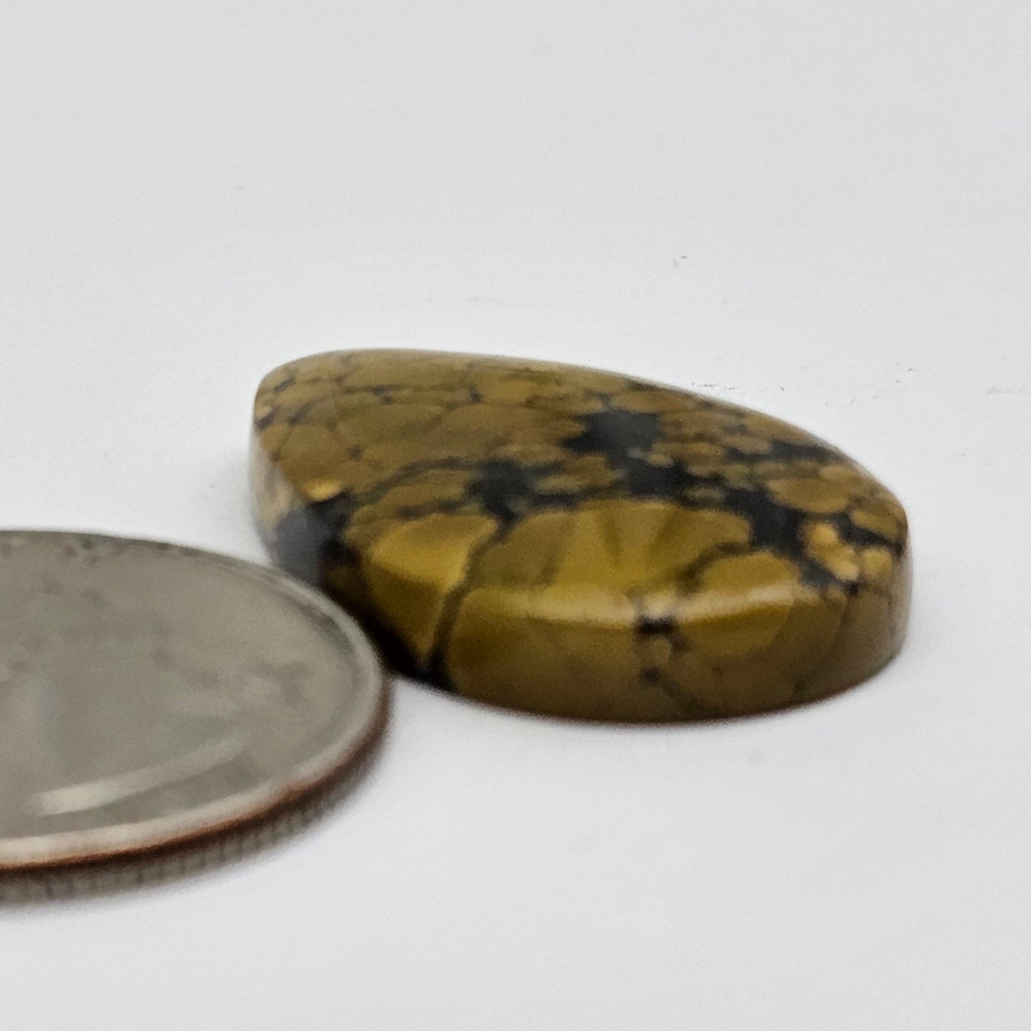 Cloud Mountain Turquoise Cabochon Large