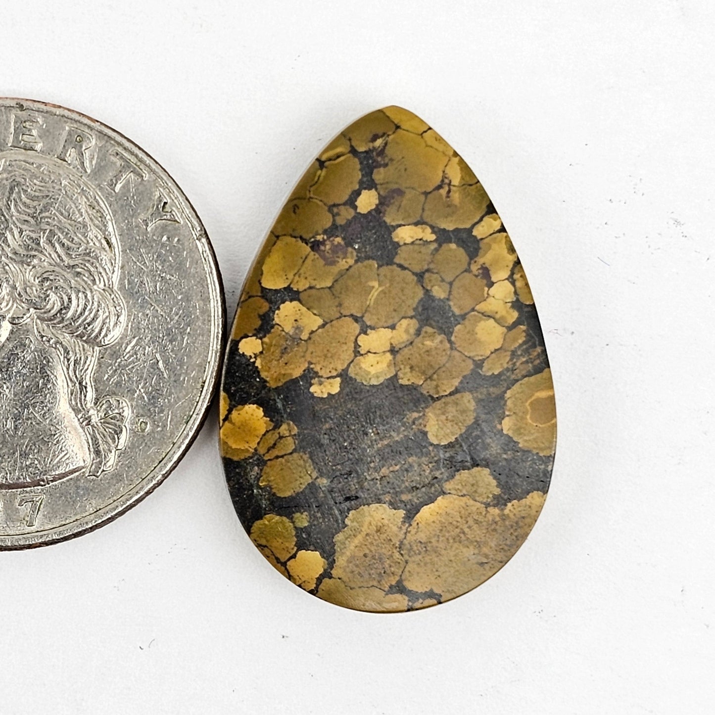 Cloud Mountain Turquoise Cabochon Large