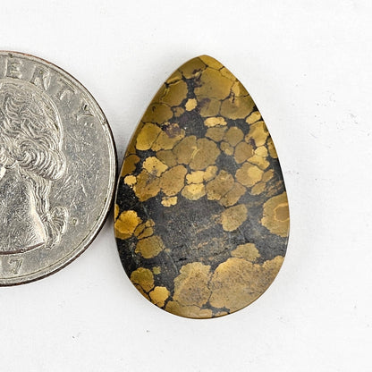 Cloud Mountain Turquoise Cabochon Large