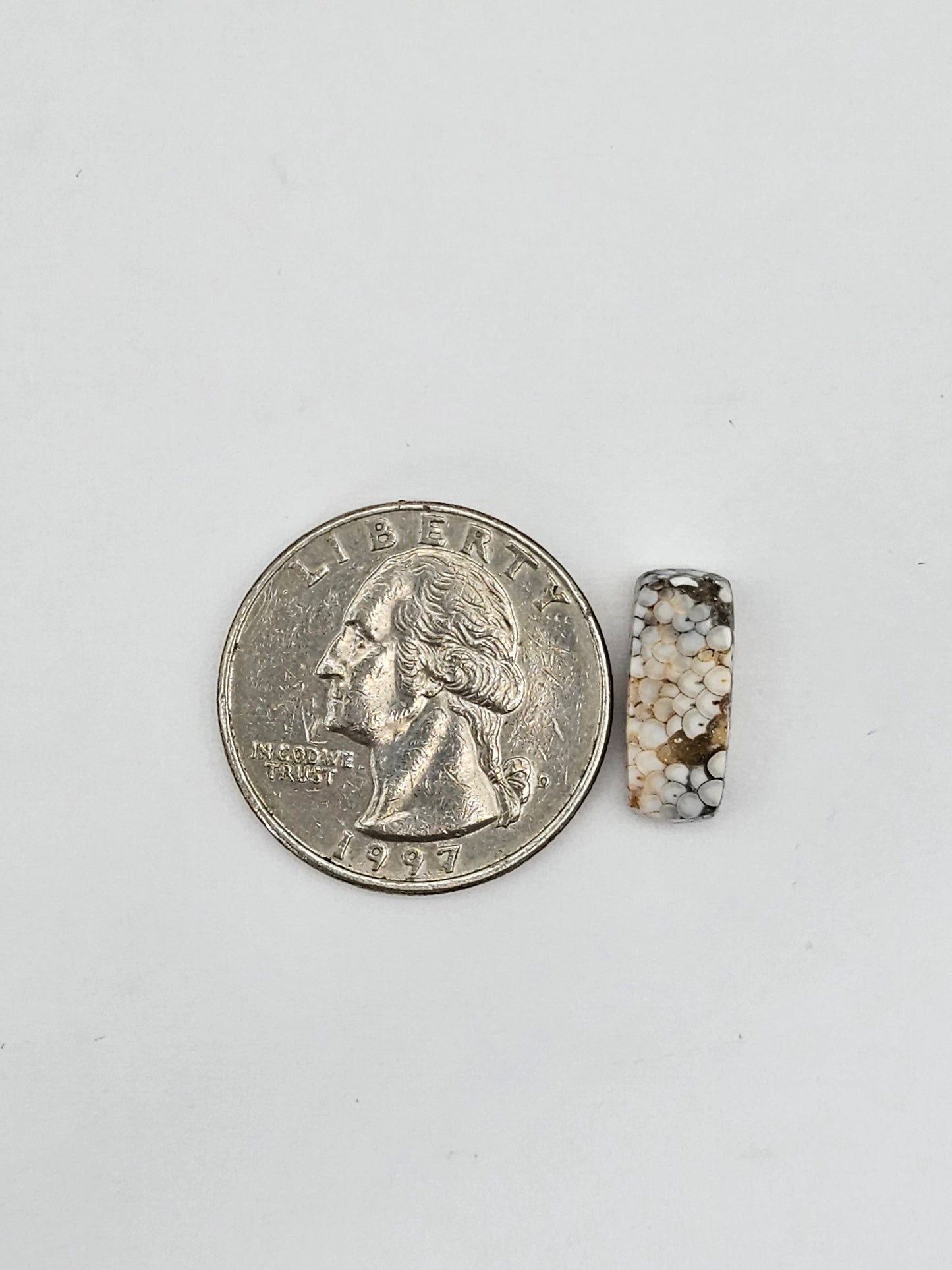 Snake agate cabochon large