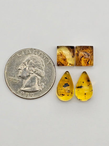Amber authentic cabochon pair lot