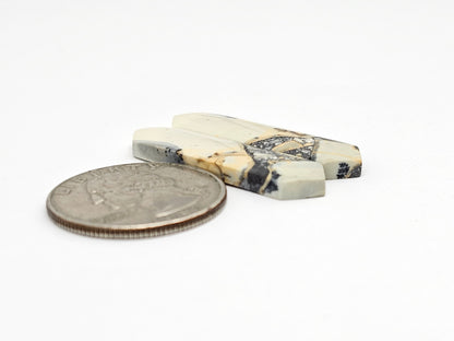 Maligano Jasper Cabochon Pair