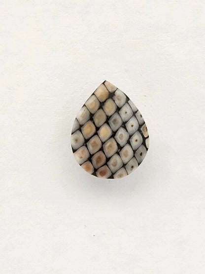 Snake agate cabochon large