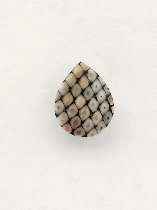 Snake agate cabochon large