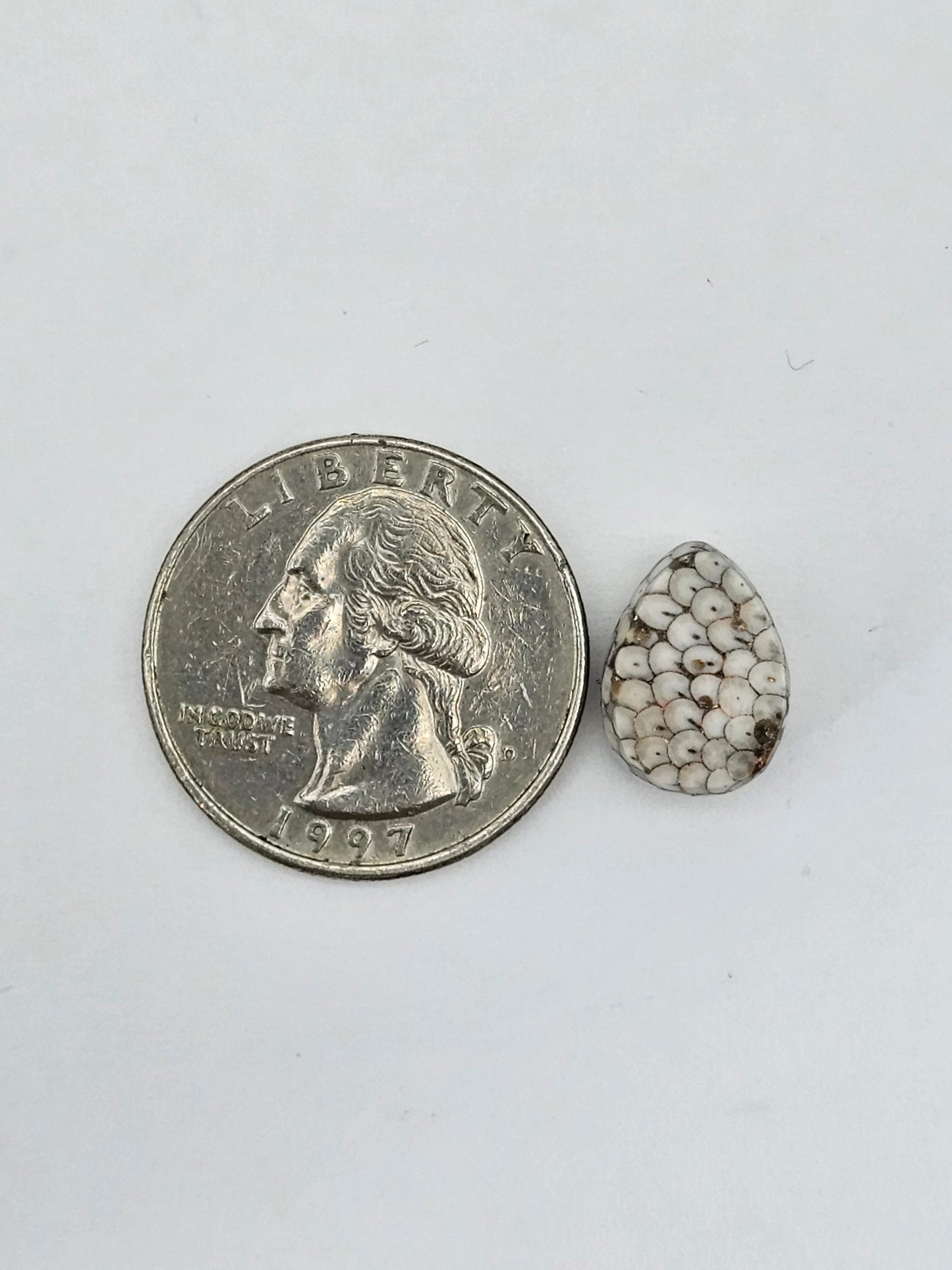 Snake agate cabochon large