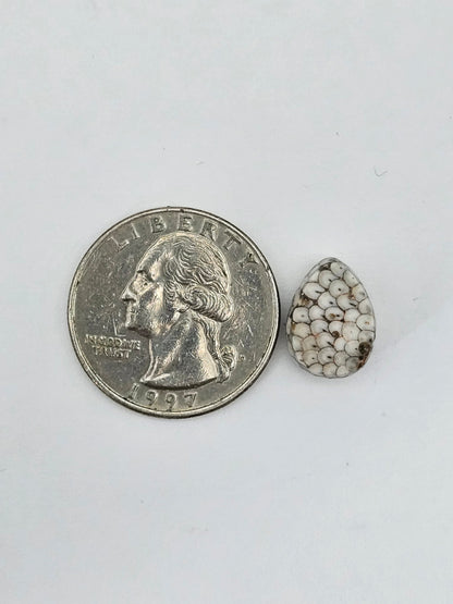 Snake agate cabochon large