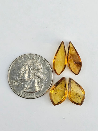Amber authentic cabochon pair lot