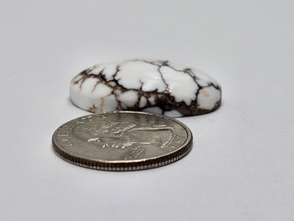 Magnesite Cabochon