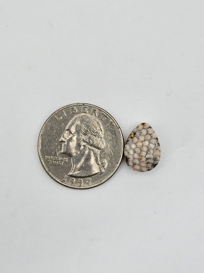 Snake agate cabochon large