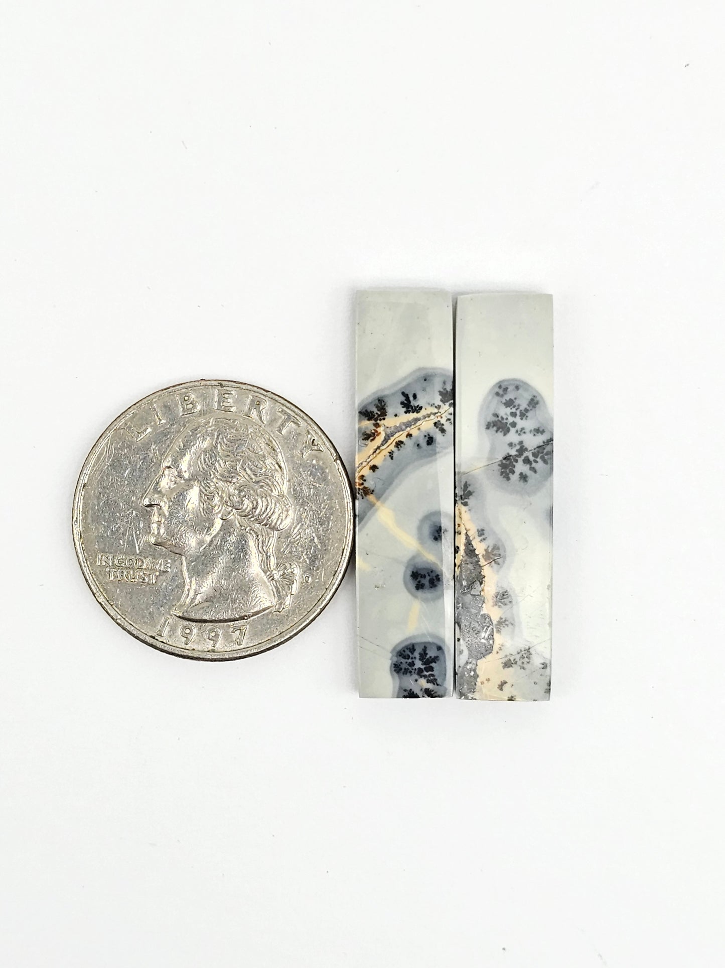 Maligano Jasper Cabochon Pair