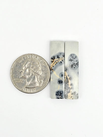 Maligano Jasper Cabochon Pair