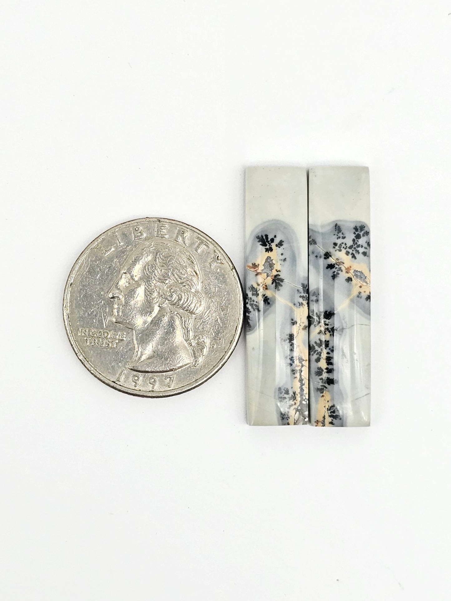 Maligano Jasper Cabochon Pair