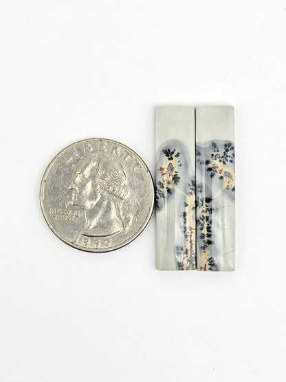 Maligano Jasper Cabochon Pair