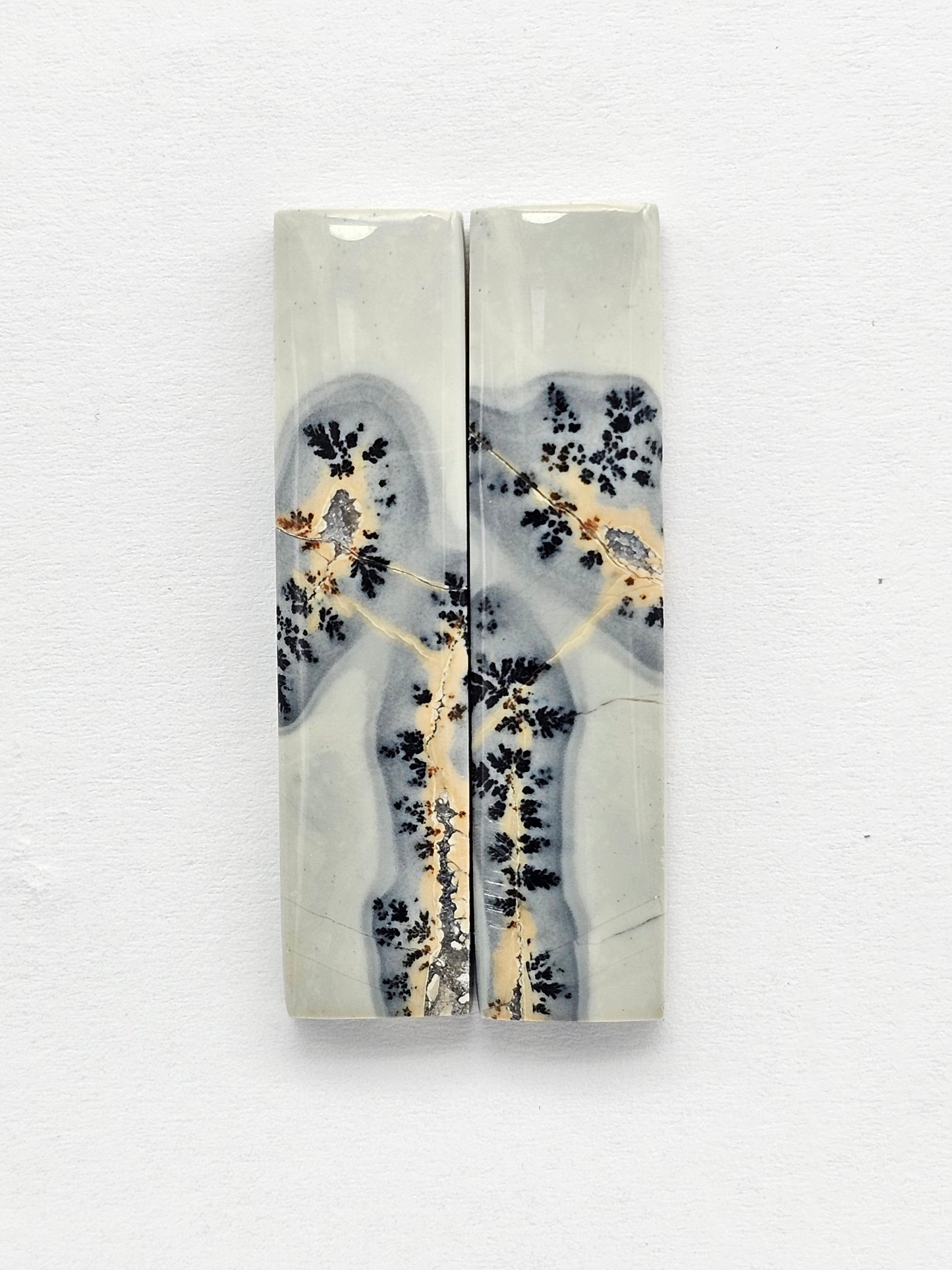 Maligano Jasper Cabochon Pair