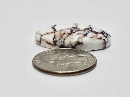 Magnesite Cabochon