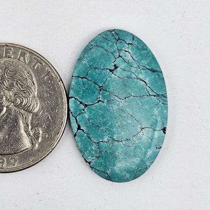 Cloud Mountain Turquoise Cabochon Large