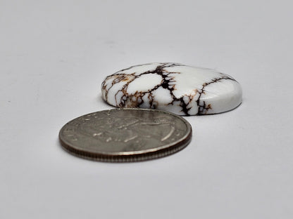 Magnesite Cabochon