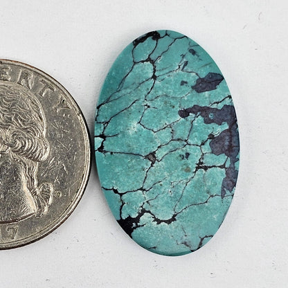 Cloud Mountain Turquoise Cabochon Large