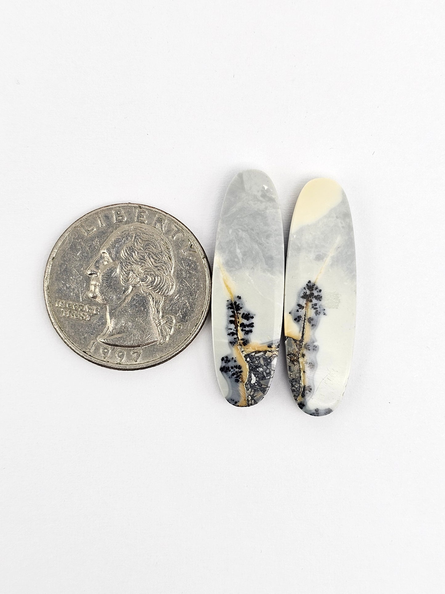 Maligano Jasper Cabochon Pair