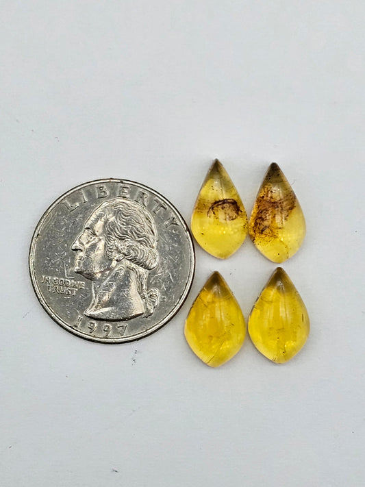 Amber authentic cabochon pair lot