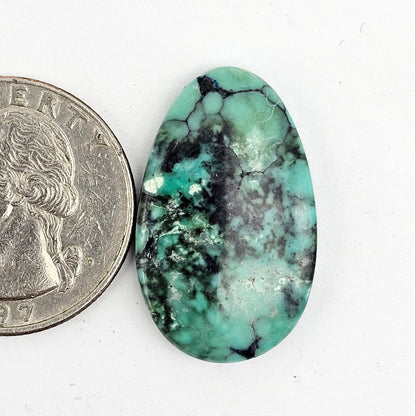 Cloud Mountain Turquoise Cabochon Large