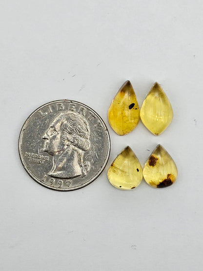 Amber authentic cabochon pair lot
