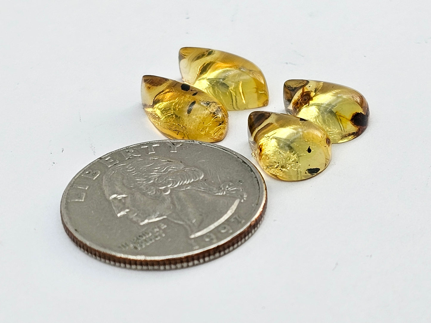 Amber authentic cabochon pair lot