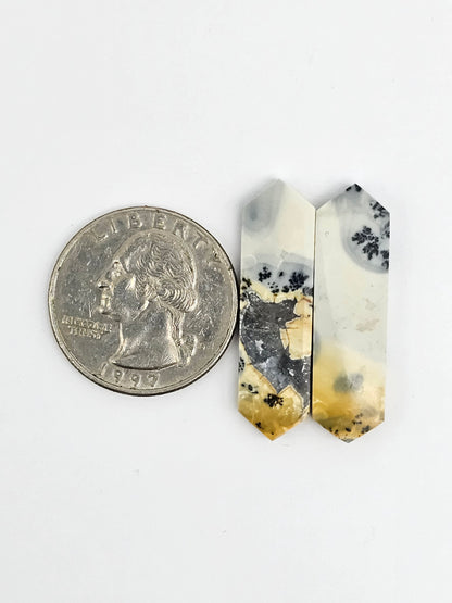 Maligano Jasper Cabochon Pair