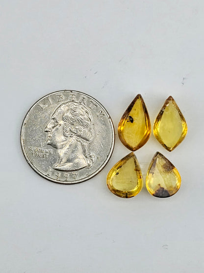 Amber authentic cabochon pair lot