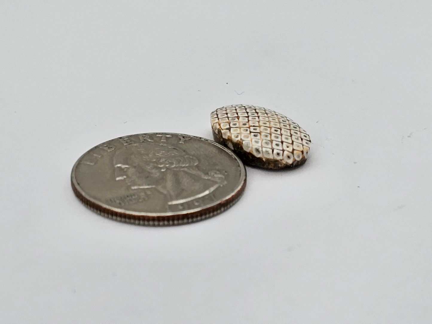 Snake agate cabochon large