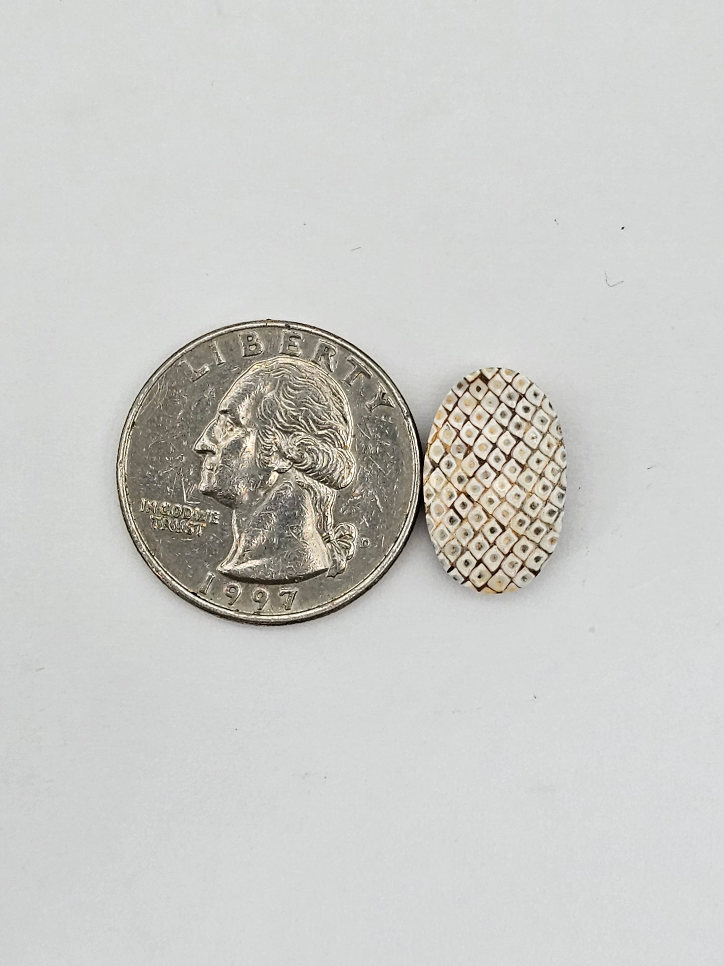 Snake agate cabochon large