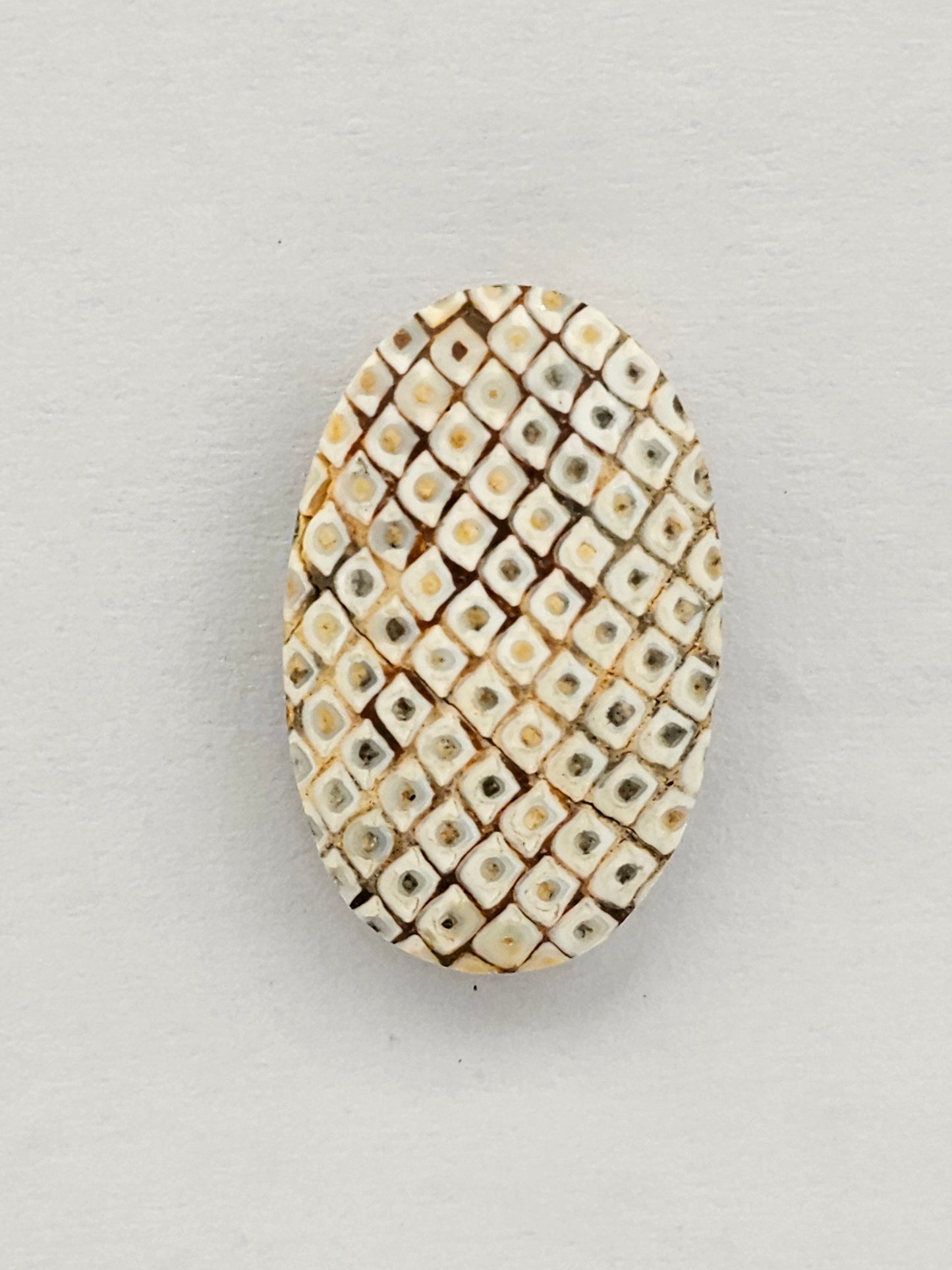 Snake agate cabochon large